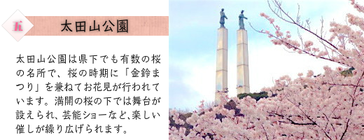 太田山公園：太田山公園は県下でも有数の桜の名所で、桜の時期に金鈴まつりを兼ねてお花見が行われています。満開の桜の下では舞台が設えられ、芸能ショー等、楽しい催しが繰り広げられます。